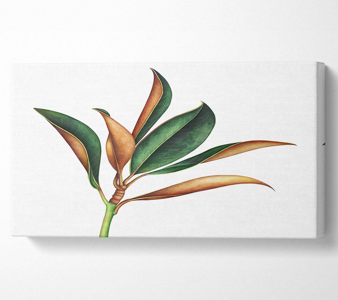  A Canvas Print of The Plant Drawing Canvas Art