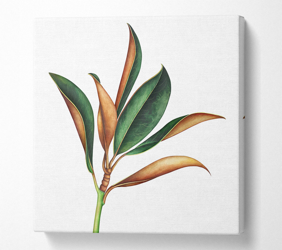  A Canvas Print of The Plant Drawing Canvas Art
