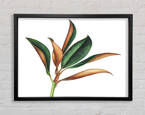 The Plant Drawing Framed Print