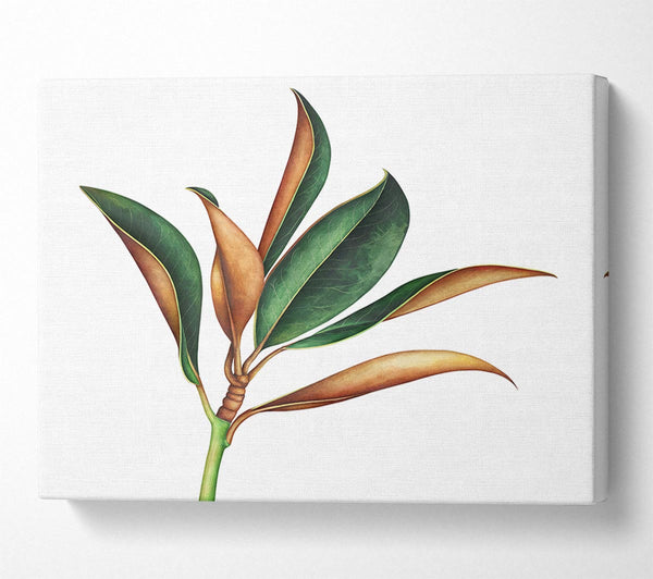  A Canvas Print of The Plant Drawing Canvas Art