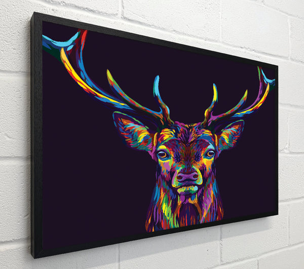 The Colourful Stag