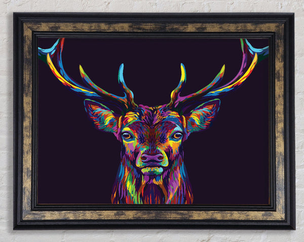 The Colourful Stag Framed Print