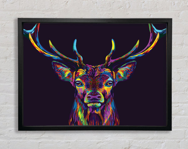 The Colourful Stag Framed Print