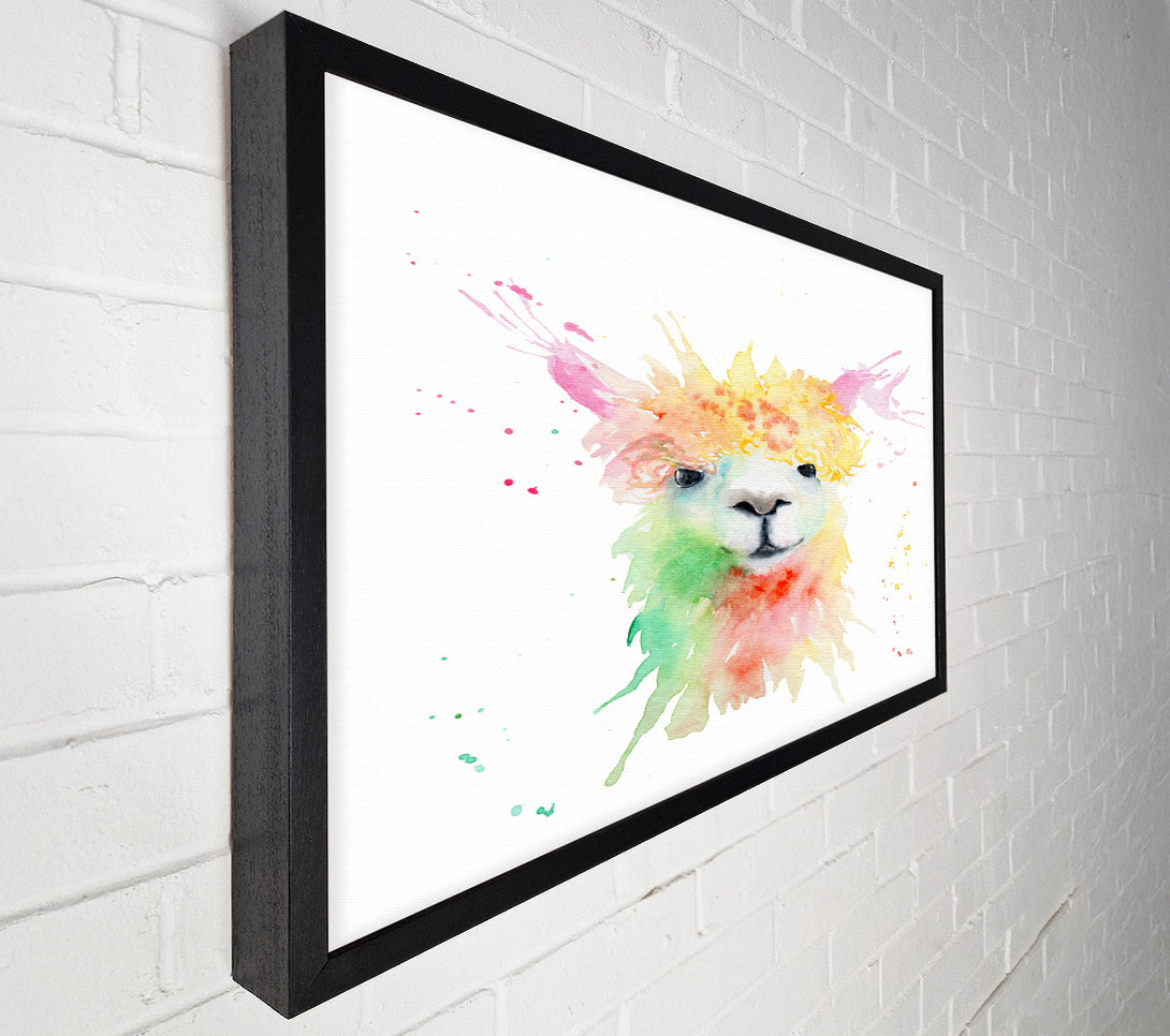  A Canvas Print of Splatter Colour Alpaca Canvas Print