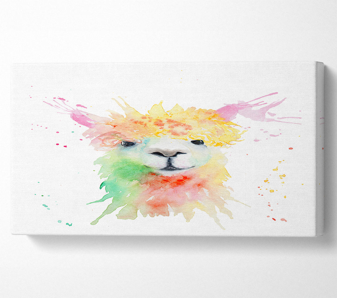  A Canvas Print of Splatter Colour Alpaca Canvas Print