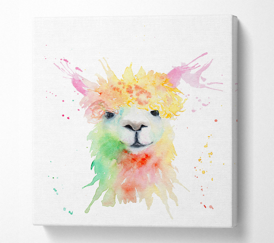  A Canvas Print of Splatter Colour Alpaca Canvas Print