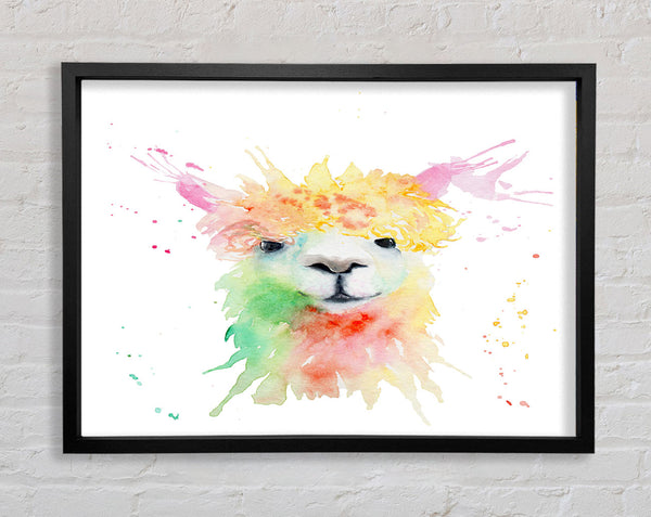 Splatter Colour Alpaca Framed Print