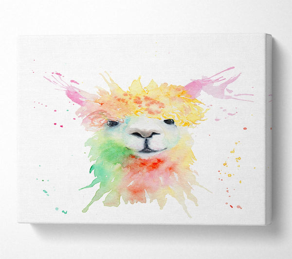  A Canvas Print of Splatter Colour Alpaca Canvas Print
