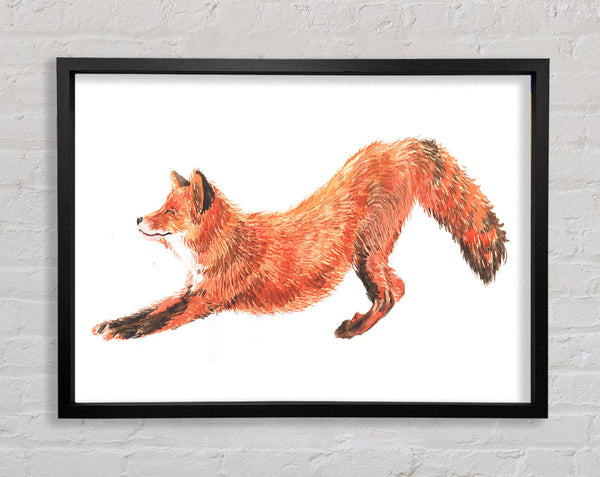 The Fox Crouching Framed Print
