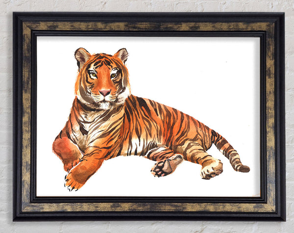 Tiger Laying Down Framed Print