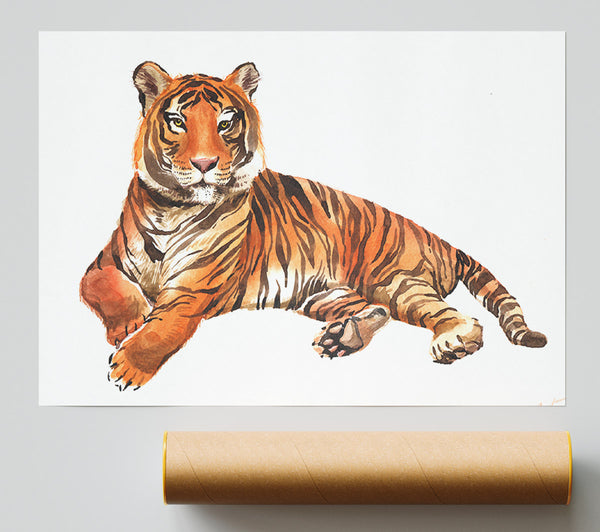 Tiger Laying Down Poster