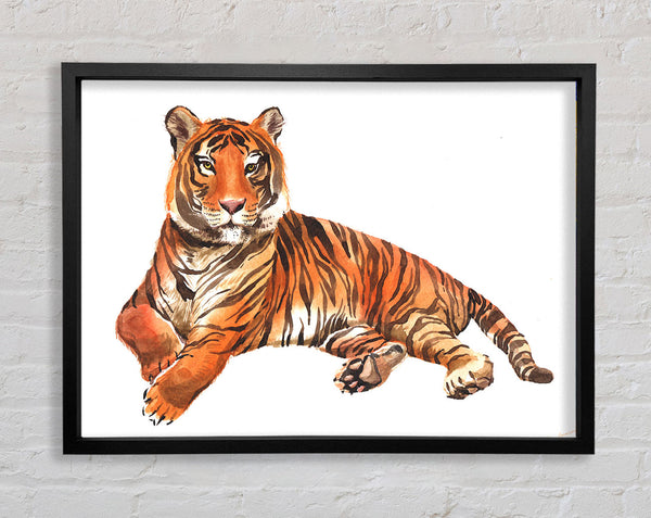 Tiger Laying Down Framed Print