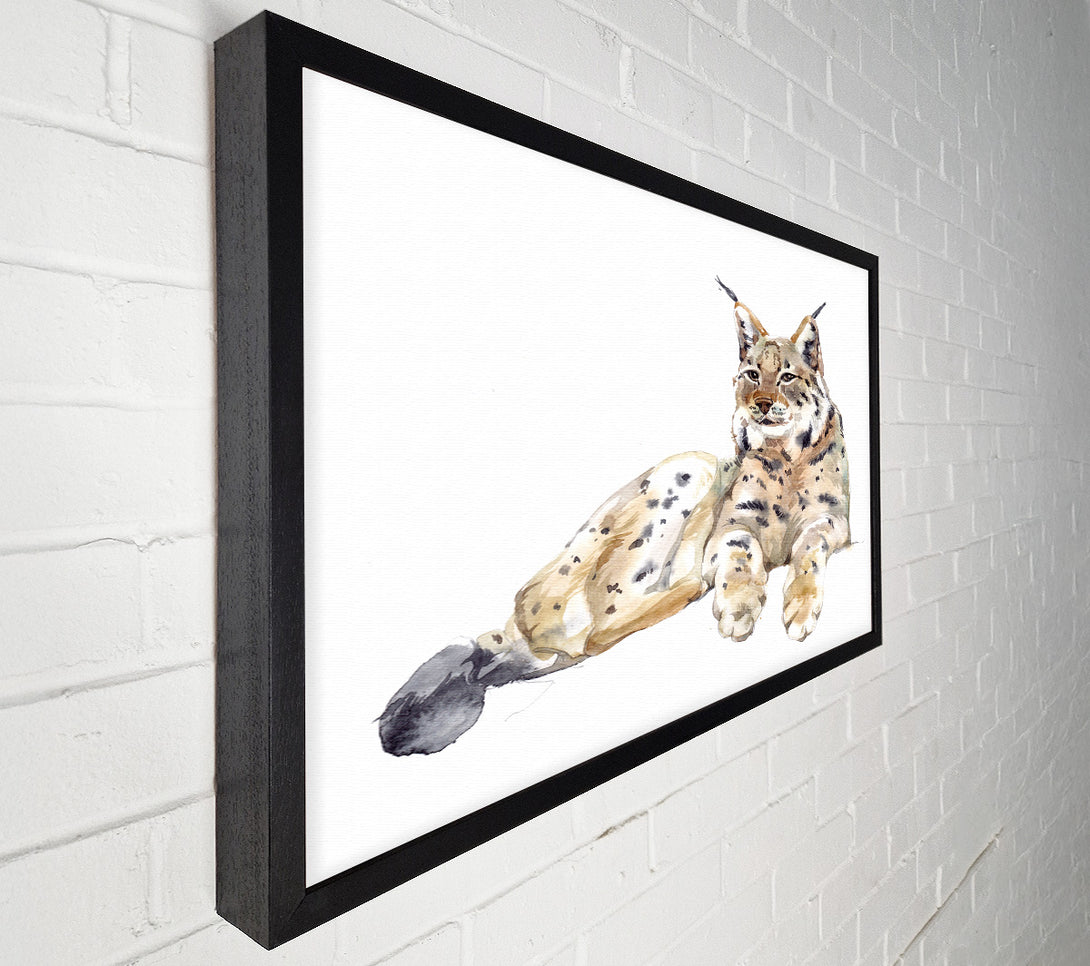  A Canvas Print of Lynx Laying Down Canvas Art