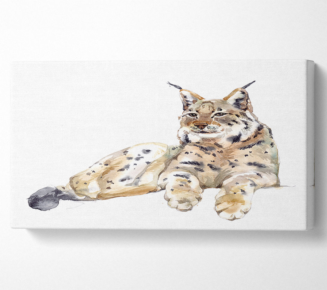  A Canvas Print of Lynx Laying Down Canvas Art