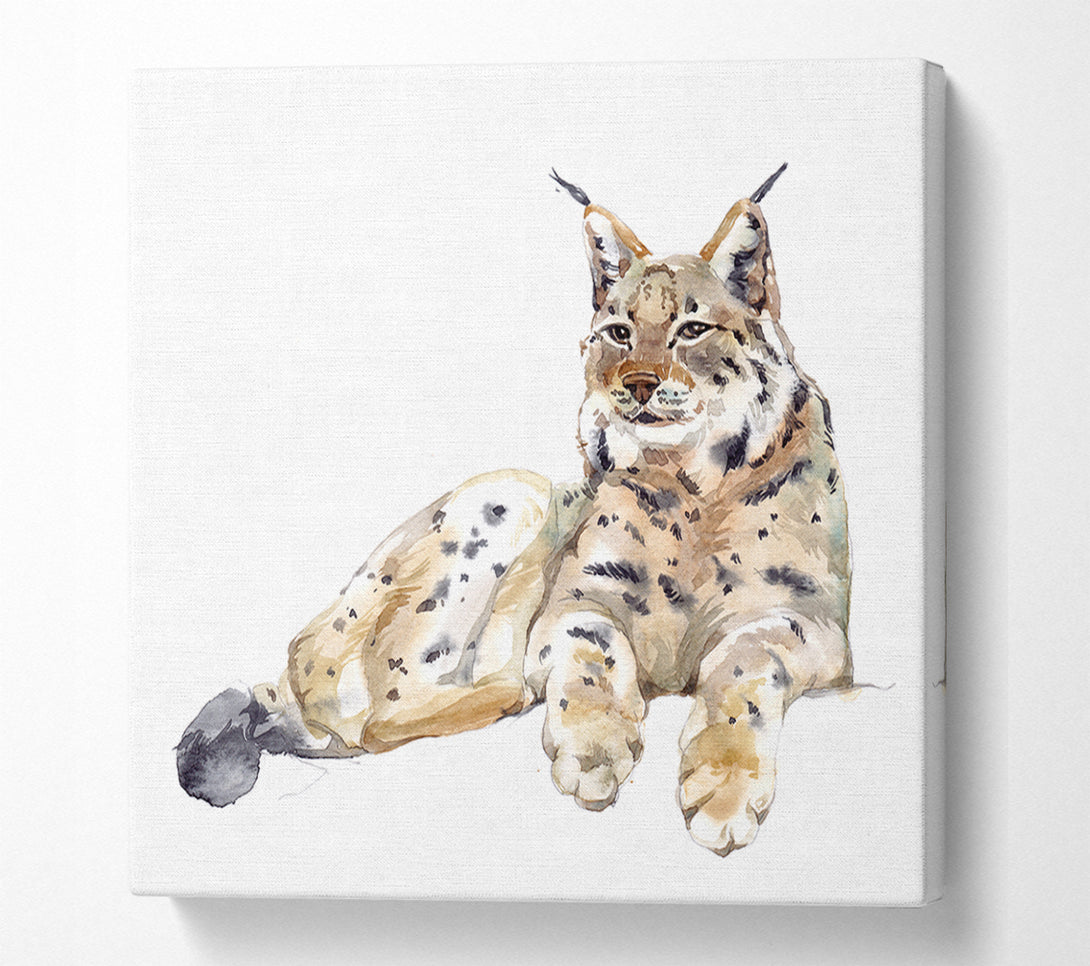  A Canvas Print of Lynx Laying Down Canvas Art