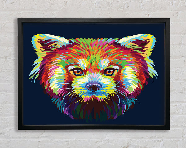 Red Panda Stare Framed Print