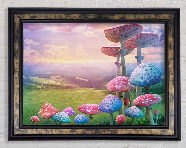 Tall Mushrooms In The Valley Framed Print