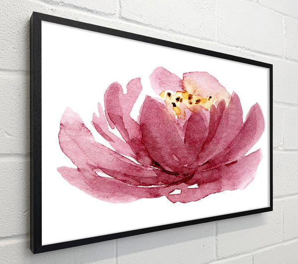 The Pink Flower Opening