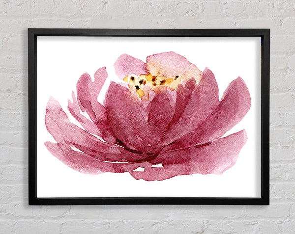 The Pink Flower Opening Framed Print
