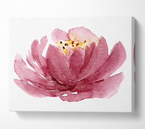  A Canvas Print of The Pink Flower Opening Canvas Wall Art