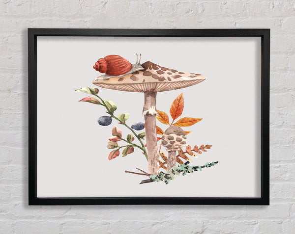 The Lone Toadstool Framed Print