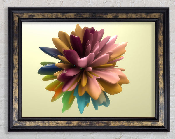 Spanning Out Of Liquid Framed Print