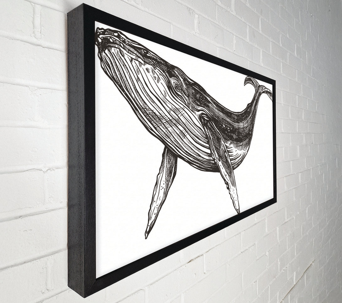  A Canvas Print of The Huge Whale Canvas Art