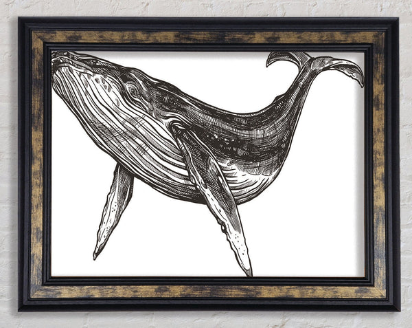The Huge Whale Framed Print