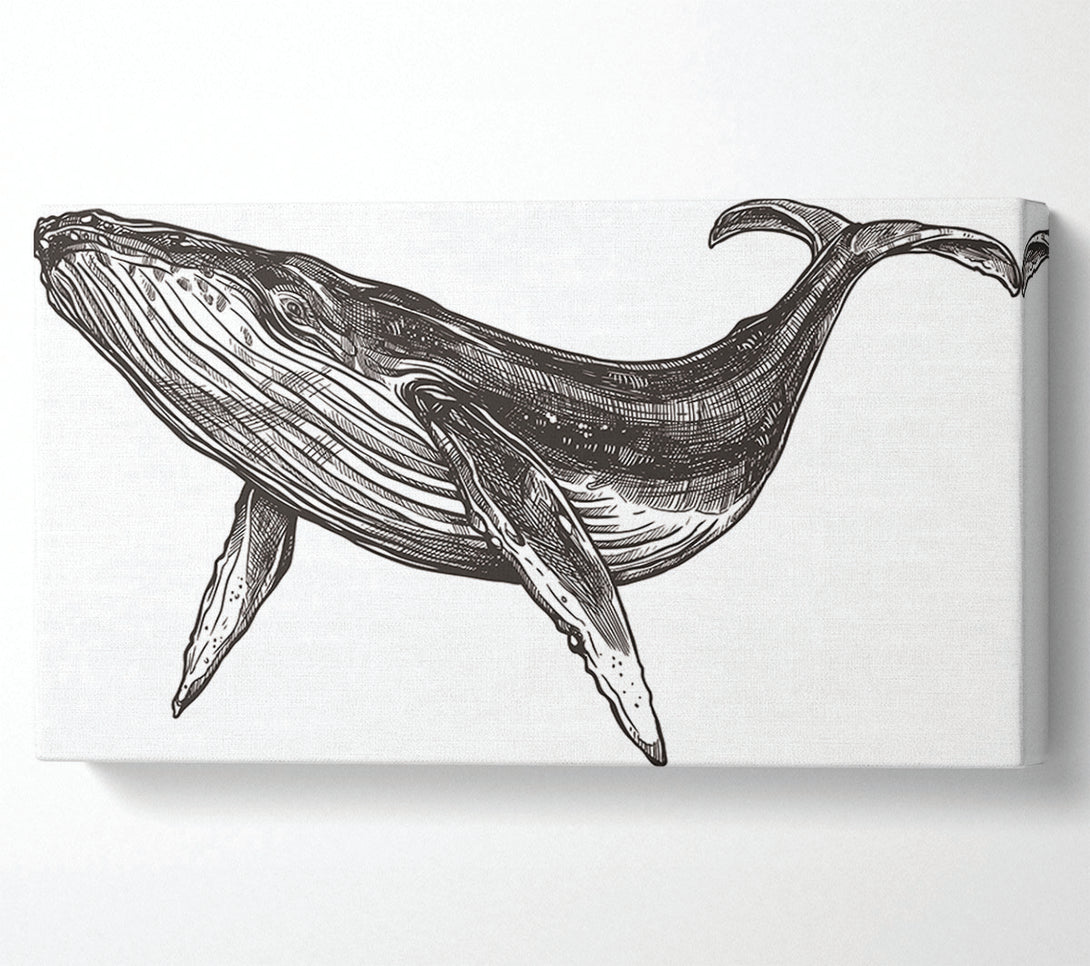  A Canvas Print of The Huge Whale Canvas Art