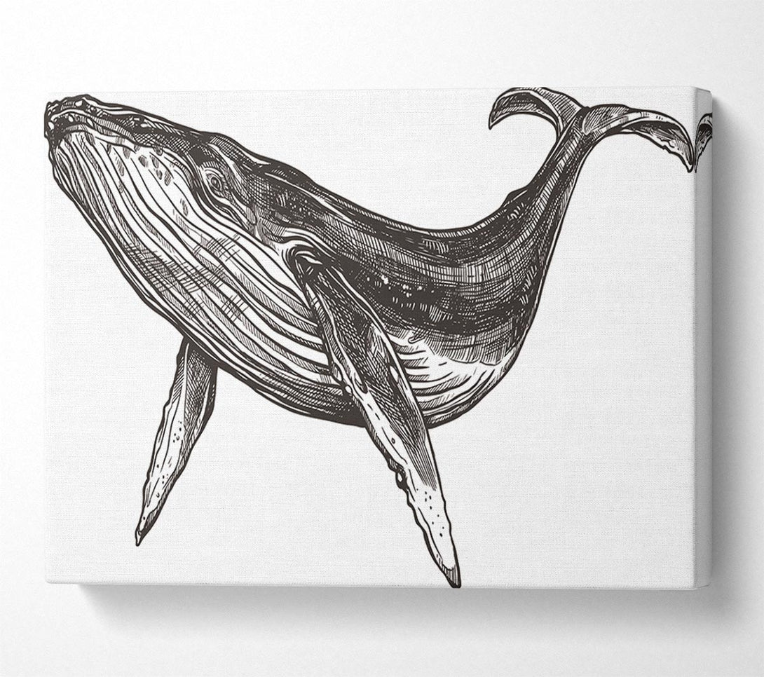  A Canvas Print of The Huge Whale Canvas Art
