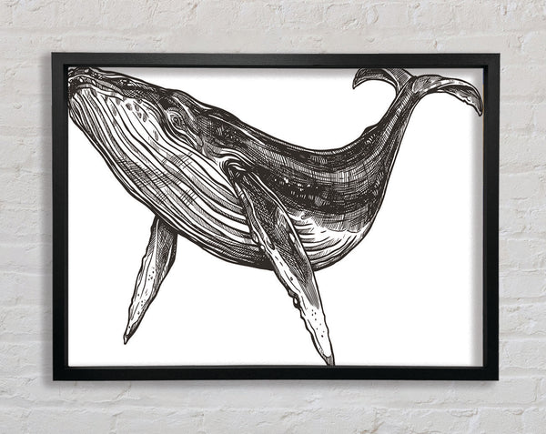 The Huge Whale Framed Print