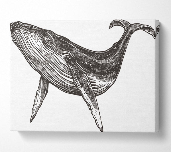  A Canvas Print of The Huge Whale Canvas Art