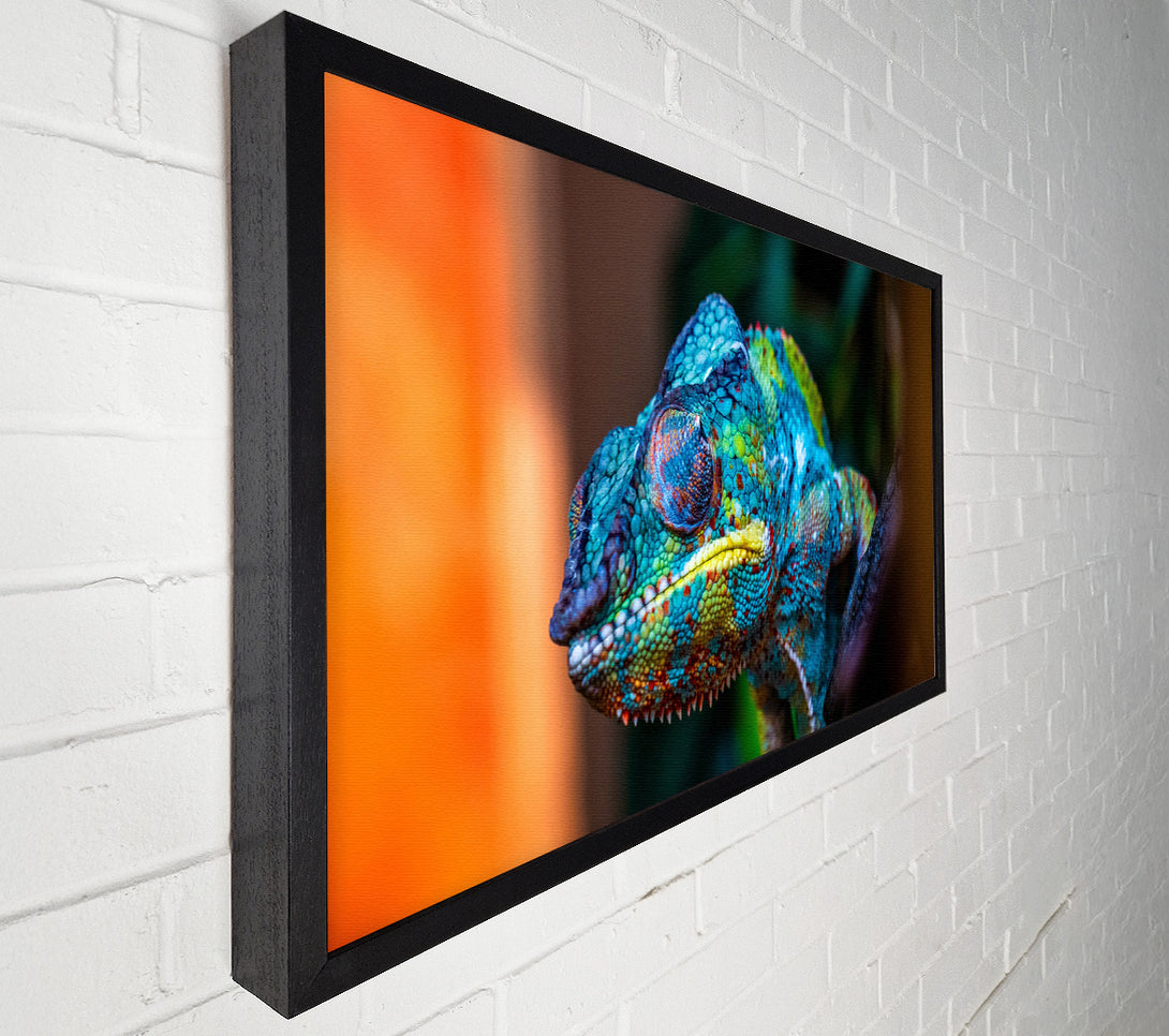  A Canvas Print of Chameleon Up Close Canvas Art