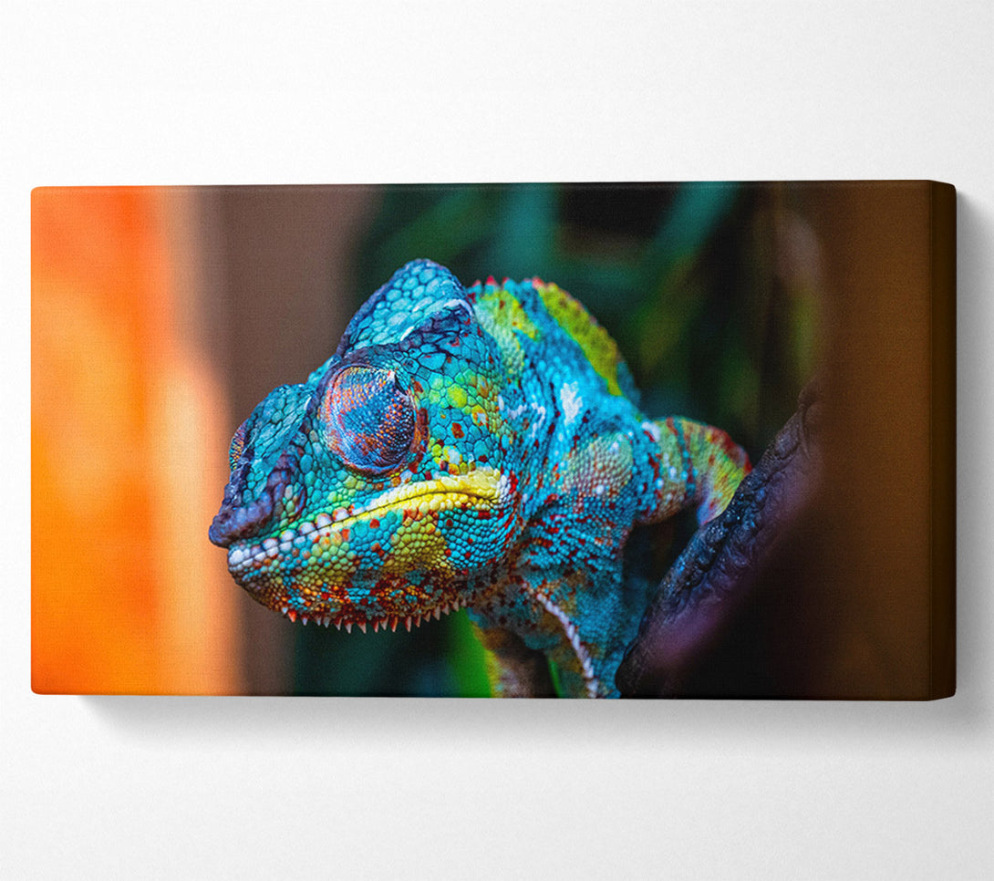  A Canvas Print of Chameleon Up Close Canvas Art