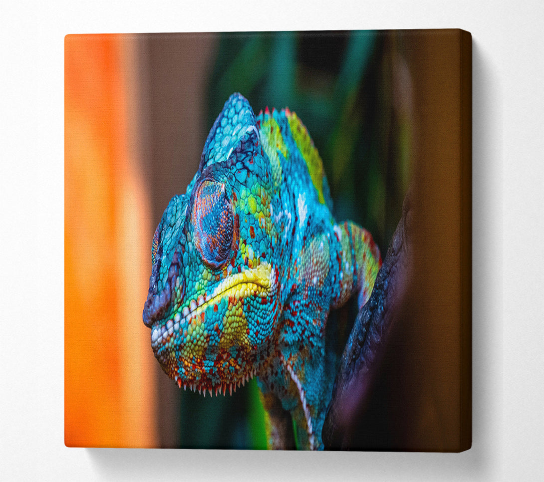  A Canvas Print of Chameleon Up Close Canvas Art