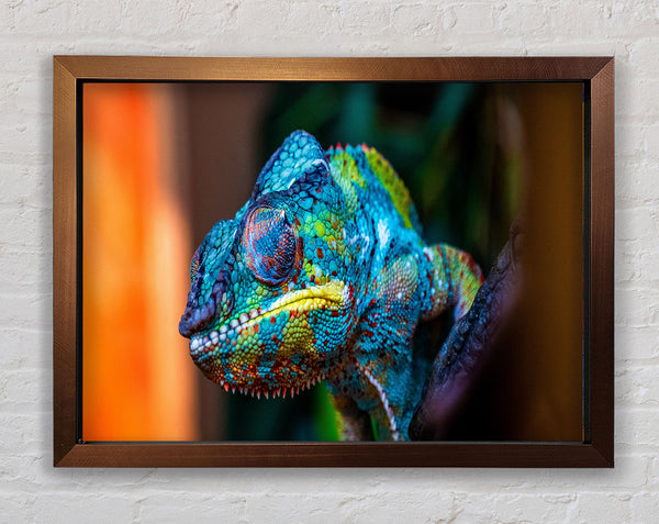 Chameleon Up Close Framed Print