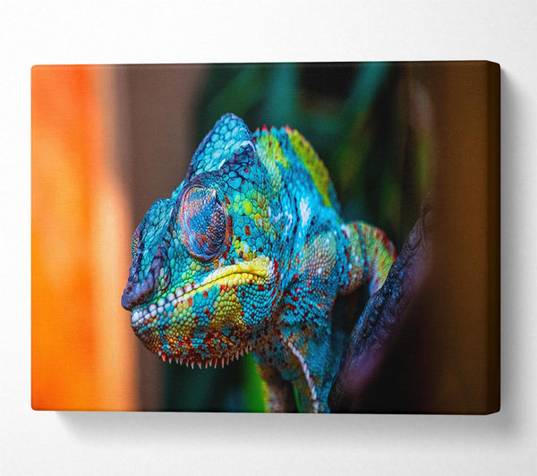  A Canvas Print of Chameleon Up Close Canvas Art