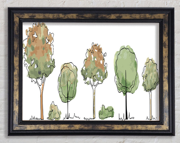 Five Trees In A Row Framed Print