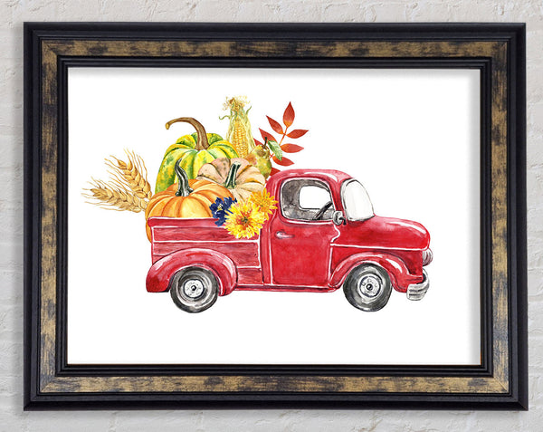 Farming The Squash Framed Print