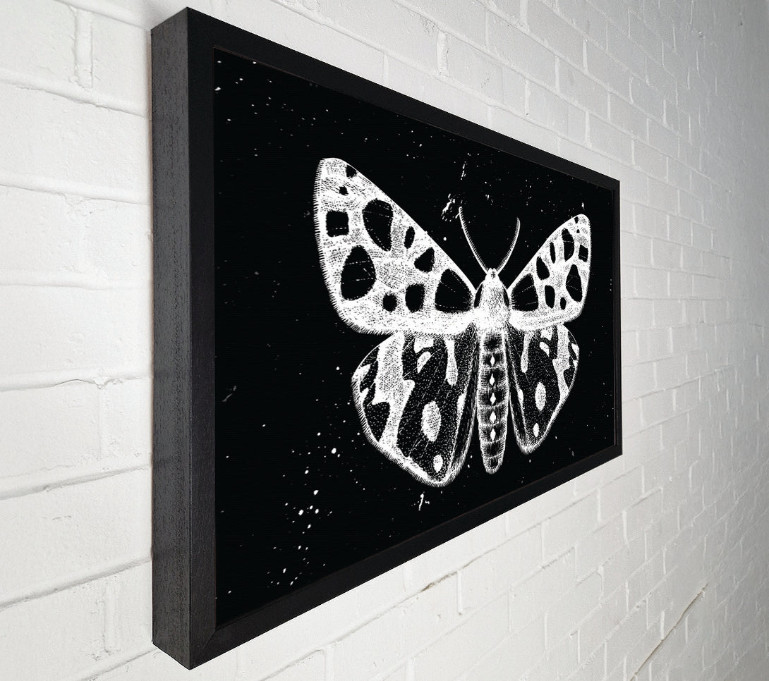  A Canvas Print of The Death Moth Canvas Art
