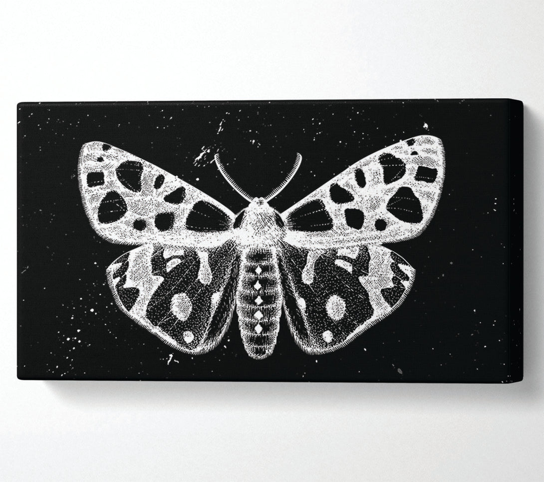  A Canvas Print of The Death Moth Canvas Art
