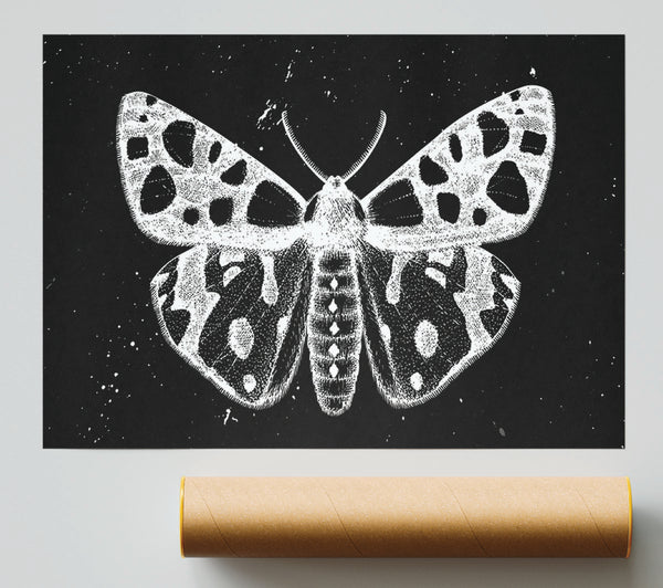 The Death Moth Print