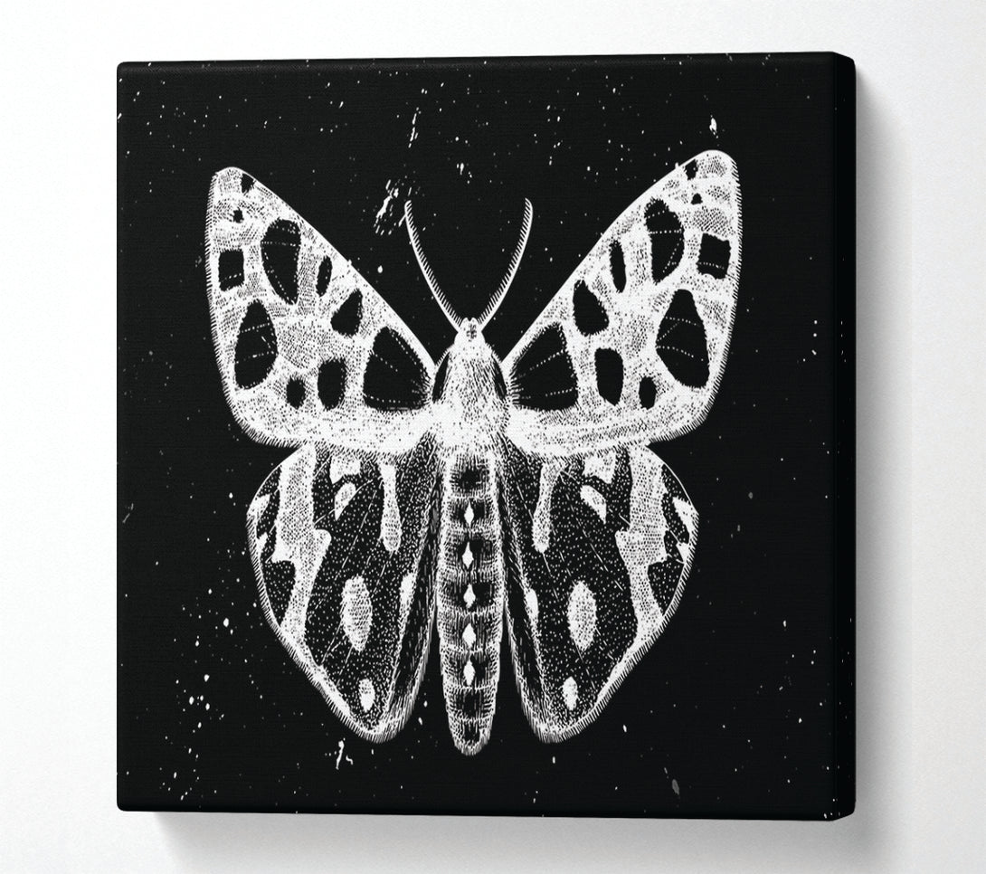  A Canvas Print of The Death Moth Canvas Art