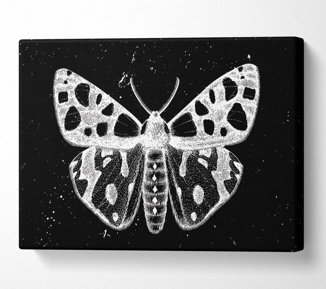  A Canvas Print of The Death Moth Canvas Art