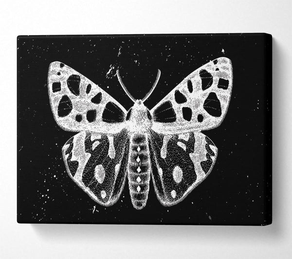  A Canvas Print of The Death Moth Canvas Art