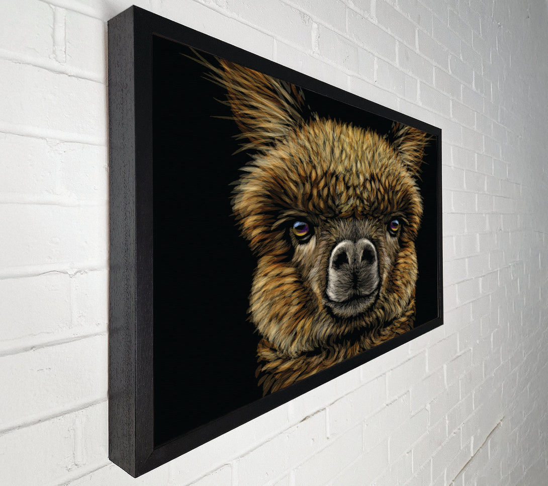  A Canvas Print of Alpaca Up Close Canvas Art