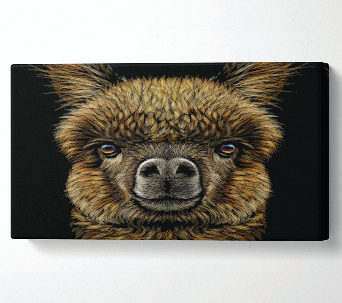  A Canvas Print of Alpaca Up Close Canvas Art