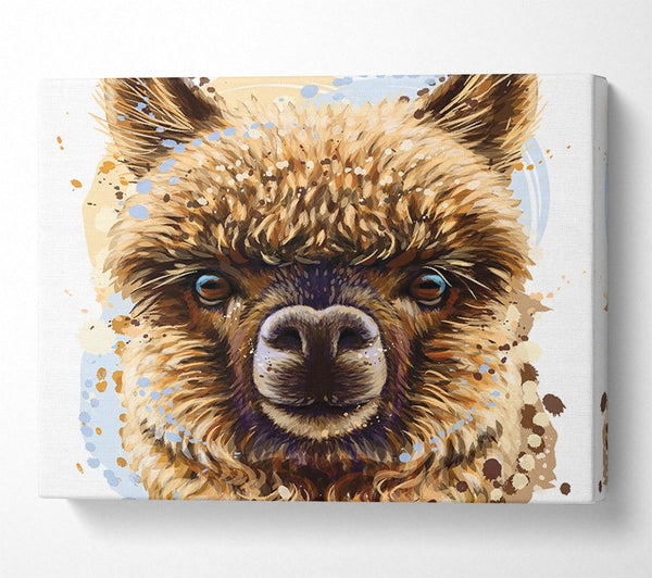  A Canvas Print of Alpaca Stare Canvas Print