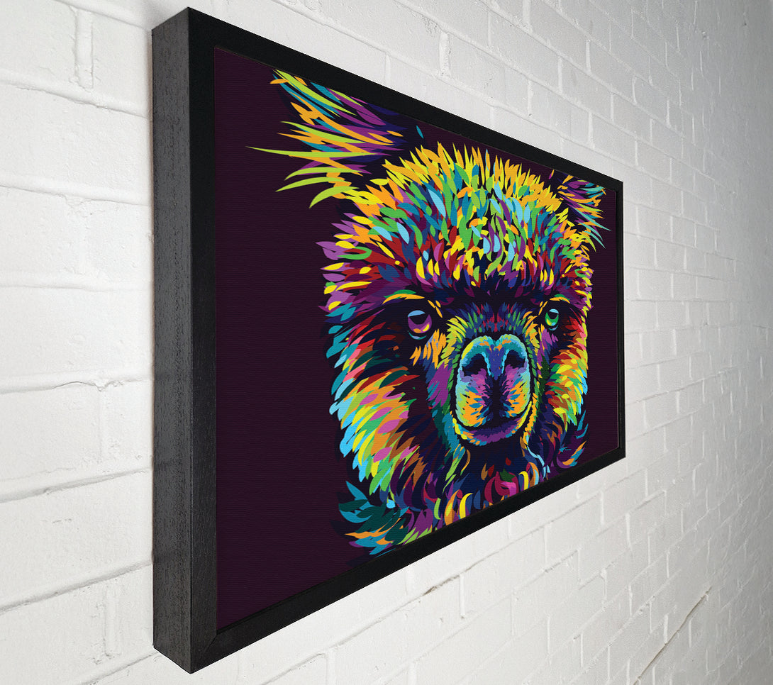  A Canvas Print of Alpaca In Colour Canvas Art