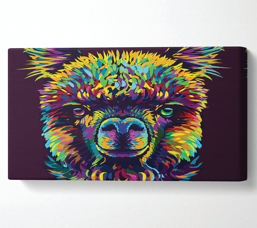  A Canvas Print of Alpaca In Colour Canvas Art